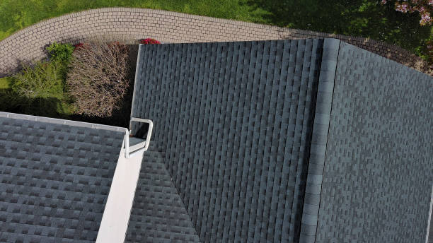 Best Solar Panel Roofing Installation  in East Lake, FL